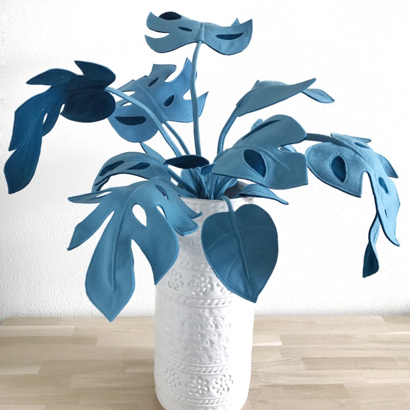 Monstera