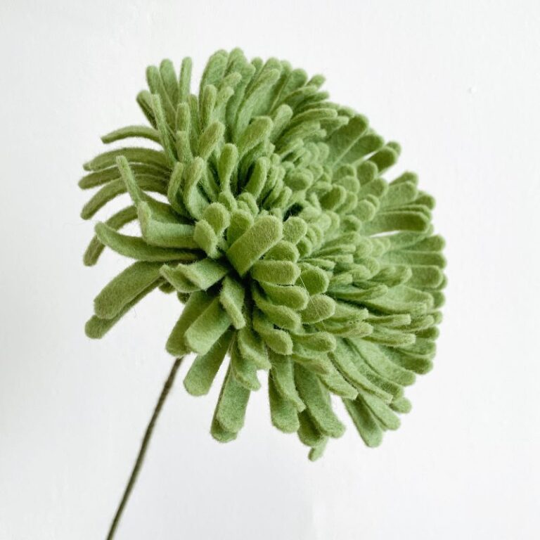 groene ronde chrysant