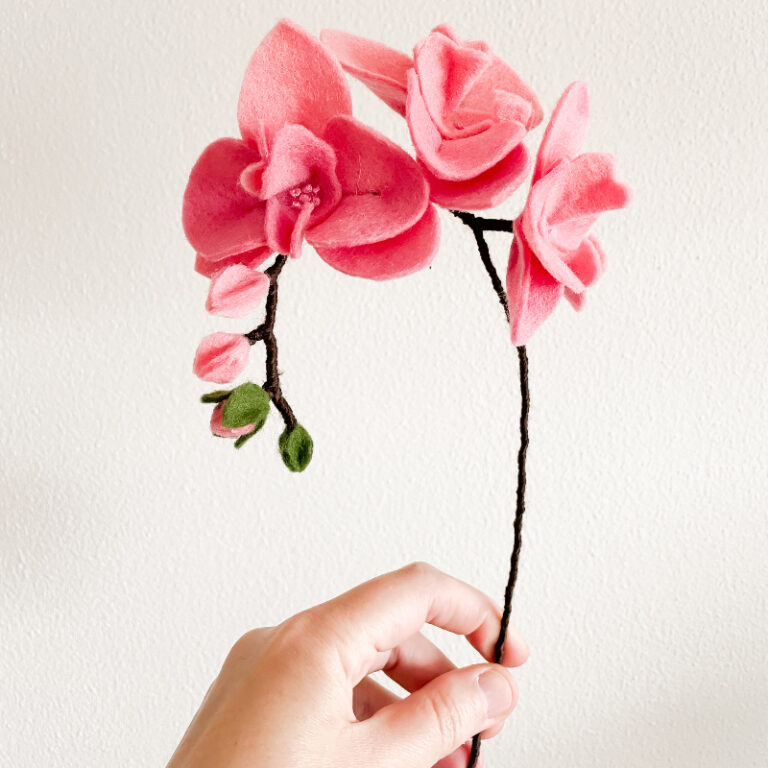 Orchidee roze