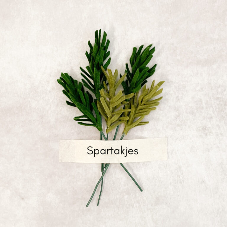 spartakje met naamtag