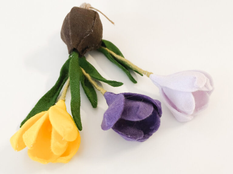 Crocus krokus klein
